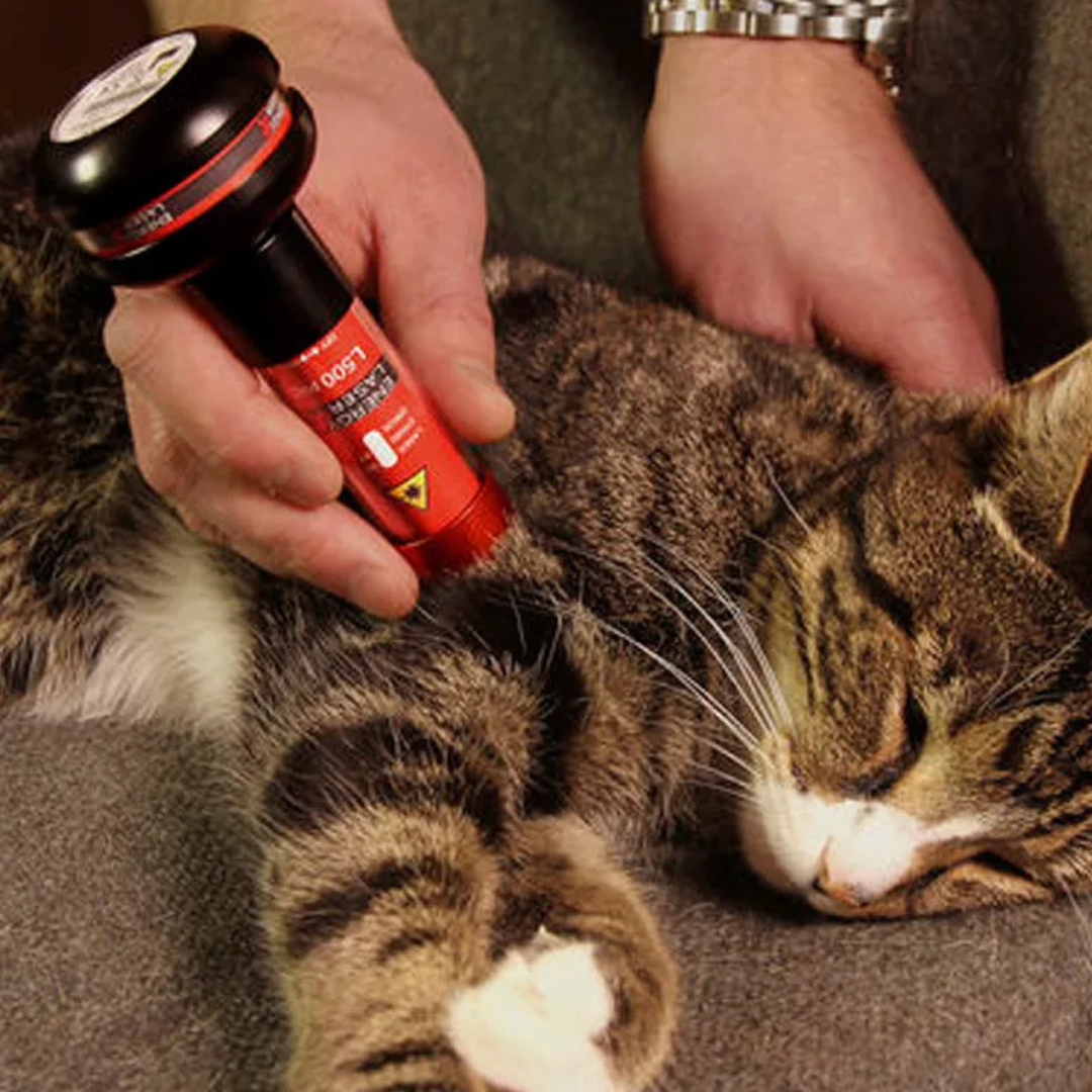 Energy-Laser L500 Pro lágylézer - Image 6