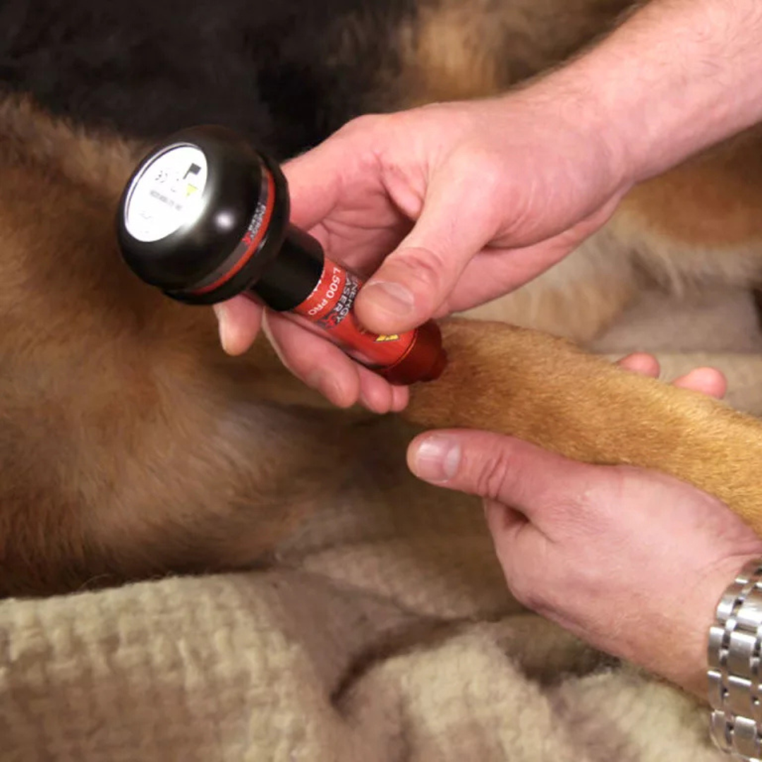 Energy-Laser L500 Pro lágylézer - Image 5